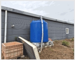  2025Ÿ��30311 ���� �ξȱ� ������ �Ļ긮 469      ����,â�����