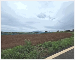  2025Ÿ��30323  �����