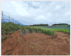  2025Ÿ��30323  �����