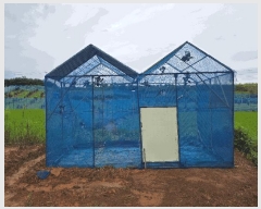  2025Ÿ��30323  �����