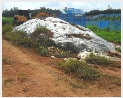  2025Ÿ��30323  �����