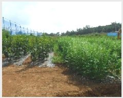  2025Ÿ��30323  �����