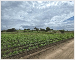  2025Ÿ��30327 ���� �ξȱ� �ξ��� ���߸� 755      ����(��)���