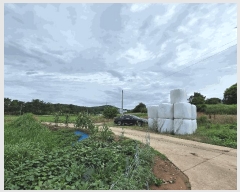  2025Ÿ��30327 ���� �ξȱ� �ξ��� ���߸� 755      ����(��)���