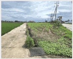  2025Ÿ��30327 ���� �ξȱ� �ξ��� ���߸� 755      ����(��)���