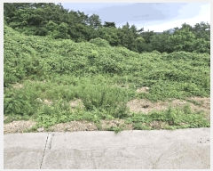  2025Ÿ30336  ξȱ   43-31      (Ӿ)