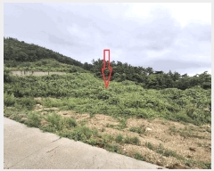  2025Ÿ30336  ξȱ   43-31      (Ӿ)