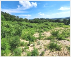  2025Ÿ30336  ξȱ   43-31      (Ӿ)