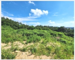  2025Ÿ30336  ξȱ   43-31      (Ӿ)