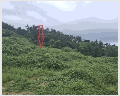  2025Ÿ30336  ξȱ   43-31      (Ӿ)