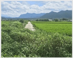  2025Ÿ��30376 ���� ������ �Ծϸ� �ܰ 1358-5      ����(��)���