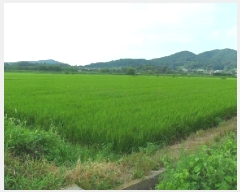  2025Ÿ��30376 ���� ������ �Ծϸ� �ܰ 1358-5      ����(��)���