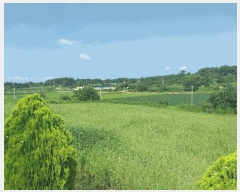  2025Ÿ��30385  �Ӿ߰��