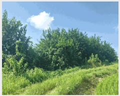  2025Ÿ��30385  �Ӿ߰��