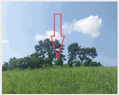  2025Ÿ��30385  �Ӿ߰��