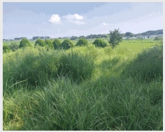  2025Ÿ��30385  �Ӿ߰��