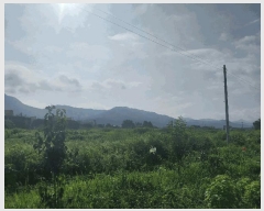  2025Ÿ��30387 ���� ������ �ۻ굿 53-7       ����(��1)���