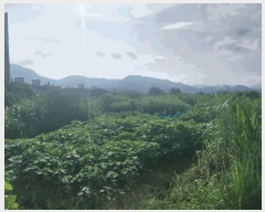  2025Ÿ��30387 ���� ������ �ۻ굿 53-7       ����(��1)���