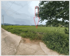  2025Ÿ��30398  ����