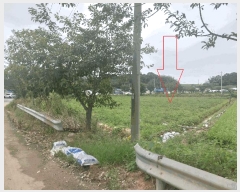  2025Ÿ��30398  ����