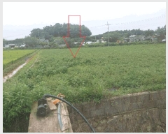  2025Ÿ��30398  ����