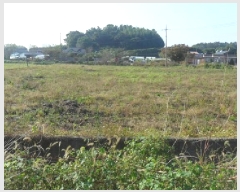  2025Ÿ��30398  ����