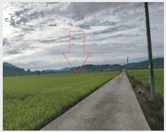  2025Ÿ��30405  ����