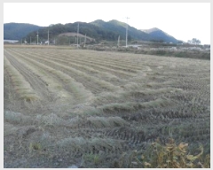  2025Ÿ��30405  ����