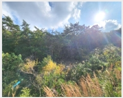  2025Ÿ��30408  �Ӿ߰��