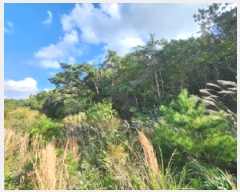  2025Ÿ��30408  �Ӿ߰��