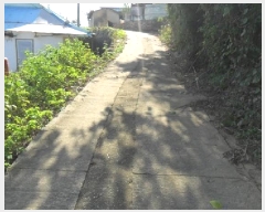  2025Ÿ��30421 ���� ��â�� �ξȸ� ������ 522      ����(����)���