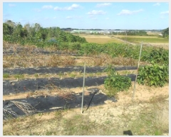  2025Ÿ��30421 ���� ��â�� �ξȸ� ������ 522      ����(����)���