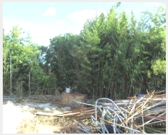  2025Ÿ��30421 ���� ��â�� �ξȸ� ������ 522      ����(����)���