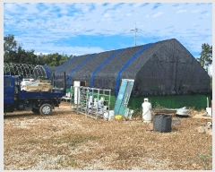  2025Ÿ��30433  ���ð��