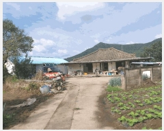  2025Ÿ��30443  �������