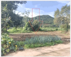  2025Ÿ��30443  �������