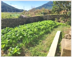  2025Ÿ��30443  �������