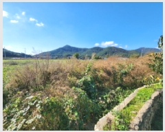  2025Ÿ��30443  �������