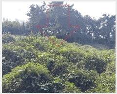  2025Ÿ��30447 ���� ������ �Ҽ��� �⸰�� 357-2      ����(��1)���