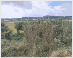  2025Ÿ��30447 ���� ������ �Ҽ��� �⸰�� 357-2      ����(��1)���