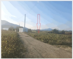  2025Ÿ��30455  �������