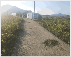  2025Ÿ��30455  �������