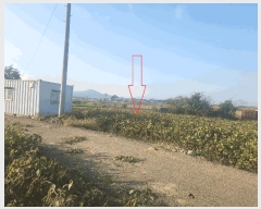  2025Ÿ��30455  �������