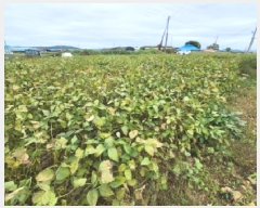  2025Ÿ��30455  �������