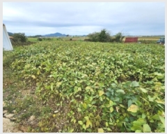  2025Ÿ��30455  �������