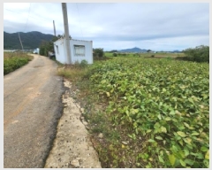  2025Ÿ��30455  �������