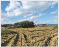  2025Ÿ��30458 ���� ��â�� �ɿ��� ������ 324      ����(��1)���