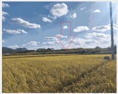  2025Ÿ��30458 ���� ��â�� �ɿ��� ������ 324      ����(��1)���