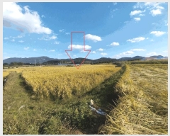  2025Ÿ��30458 ���� ��â�� �ɿ��� ������ 324      ����(��1)���