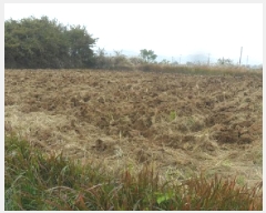  2025Ÿ��30458 ���� ��â�� �ɿ��� ������ 324      ����(��1)���